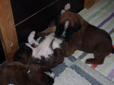 Kuscheln