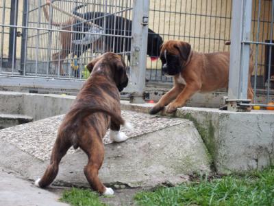 wer darf rein und wer nicht?