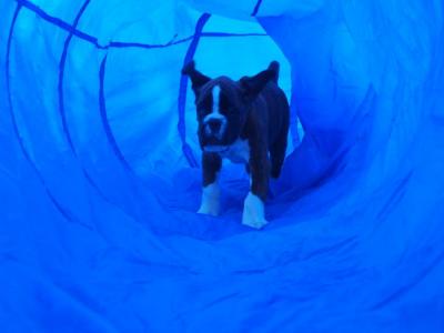 Der Tunnel