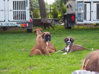 Freddy und Ferris