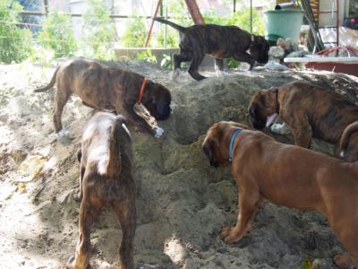 der Sandhaufen