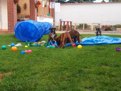 Spielstunde