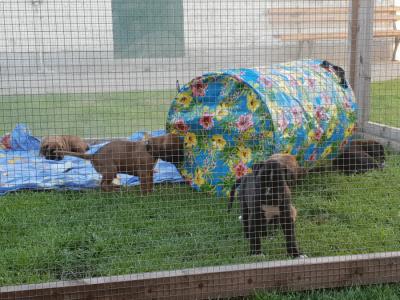 hinter Gittern