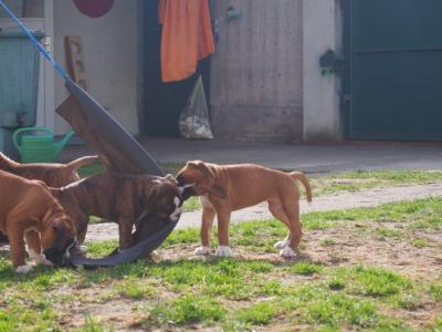 Spielstunde