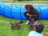 Annika und die Welpen