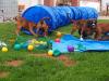 Spielstunde