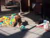 Kleine Entdecker