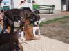 Spielstunde
